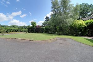 Front Garden & Driveway
